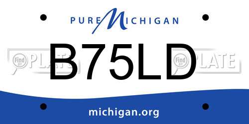 B75LD Michigan License Plate
