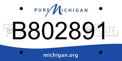 B802891 Michigan License Plate