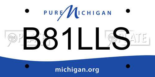 B81LLS Michigan License Plate