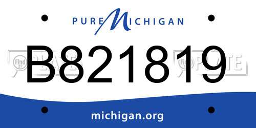 B821819 Michigan License Plate