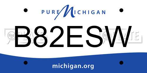 B82ESW Michigan License Plate