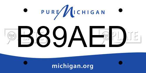 B89AED Michigan License Plate