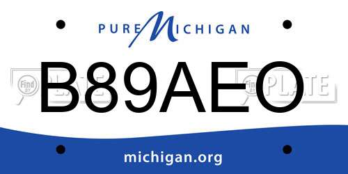 B89AEO Michigan License Plate