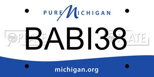 BABI38 Michigan License Plate