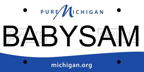 BABYSAM Michigan License Plate