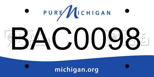 BAC0098 Michigan License Plate