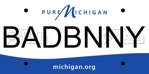 BADBNNY Michigan License Plate