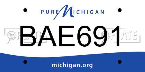BAE691 Michigan License Plate