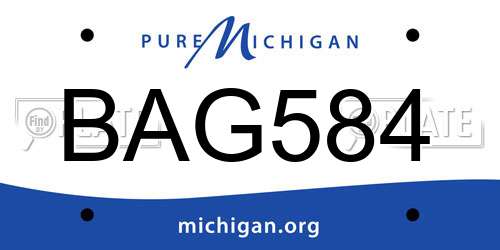 BAG584 Michigan License Plate