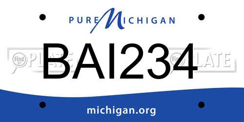 BAI234 Michigan License Plate
