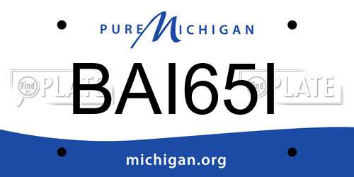 BAI65I Michigan License Plate