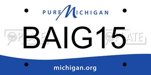 BAIG15 Michigan License Plate