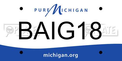 BAIG18 Michigan License Plate