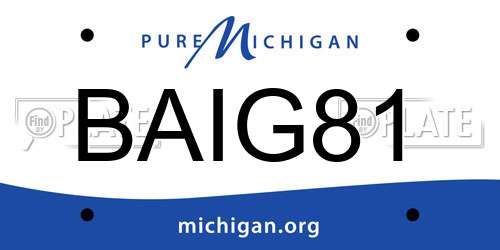 BAIG81 Michigan License Plate