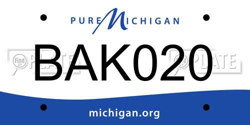 BAK020 Michigan License Plate