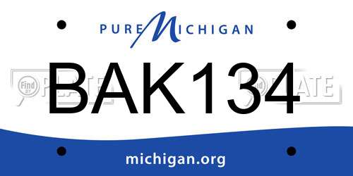 BAK134 Michigan License Plate