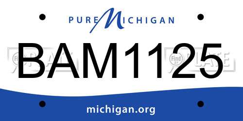 BAM1125 Michigan License Plate
