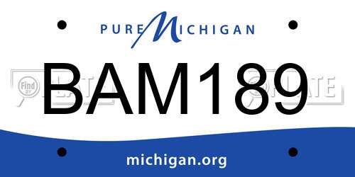 BAM189 Michigan License Plate