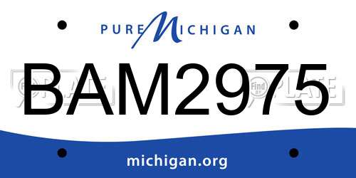 BAM2975 Michigan License Plate