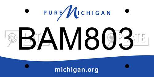 BAM803 Michigan License Plate