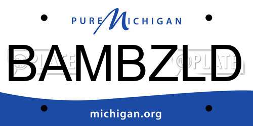 BAMBZLD Michigan License Plate