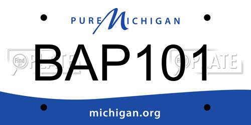 BAP101 Michigan License Plate