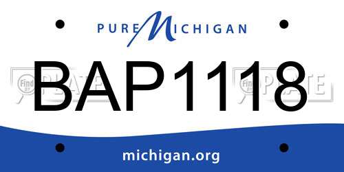 BAP1118 Michigan License Plate