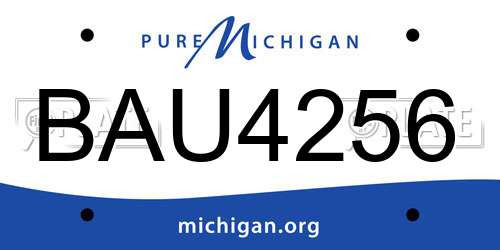 BAU4256 Michigan License Plate