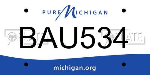 BAU534 Michigan License Plate