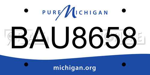 BAU8658 Michigan License Plate
