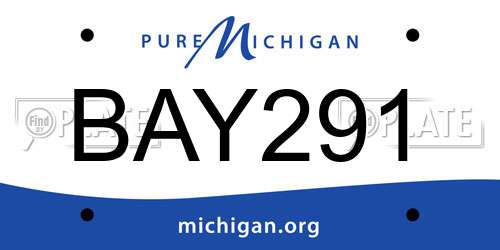 BAY291 Michigan License Plate