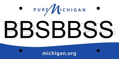 BBSBBSS Michigan License Plate