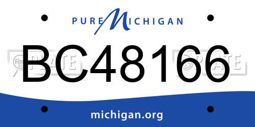 BC48166 Michigan License Plate