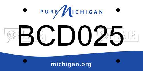 BCD025 Michigan License Plate