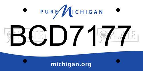BCD7177 Michigan License Plate