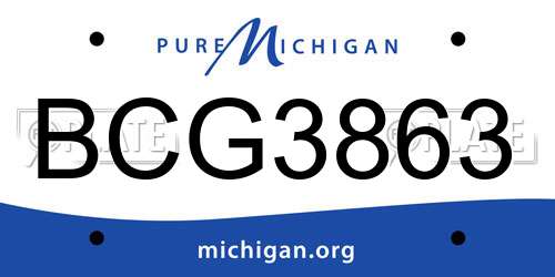 BCG3863 Michigan License Plate