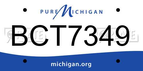 BCT7349 Michigan License Plate