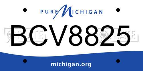 BCV8825 Michigan License Plate