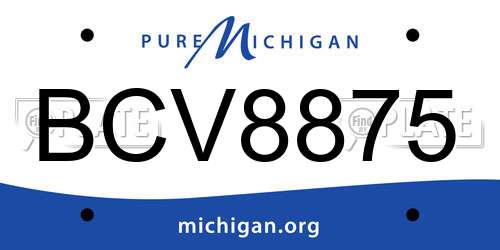 BCV8875 Michigan License Plate