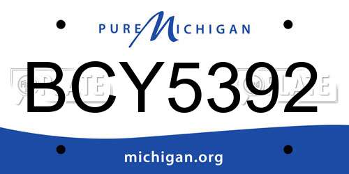 BCY5392 Michigan License Plate