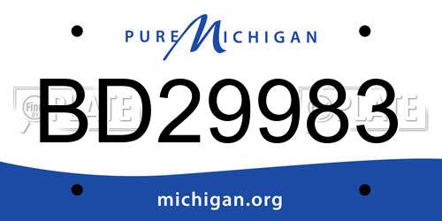 BD29983 Michigan License Plate