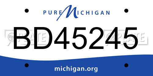 BD45245 Michigan License Plate
