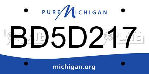 BD5D217 Michigan License Plate