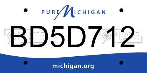BD5D712 Michigan License Plate