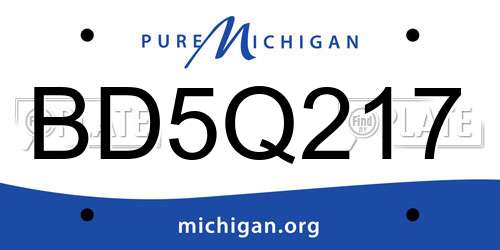 BD5Q217 Michigan License Plate