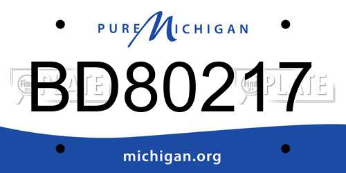 BD80217 Michigan License Plate