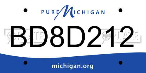 BD8D212 Michigan License Plate