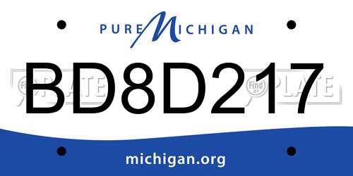 BD8D217 Michigan License Plate