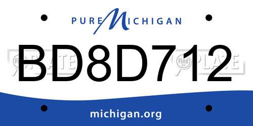 BD8D712 Michigan License Plate