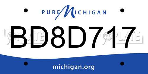BD8D717 Michigan License Plate